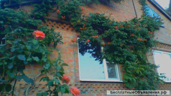 Дом