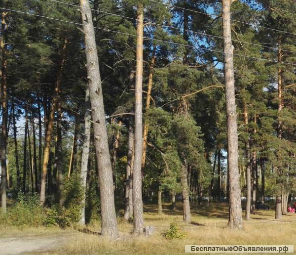 ОТ ХОЗЯИНА Дом в Нижем Новгороде, поселок Стригино