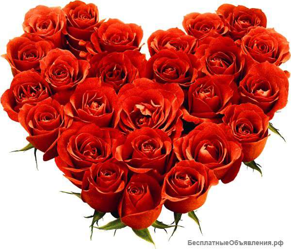 Цветы оптом от производителя
