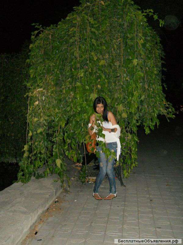 Уроки английского по скайпу