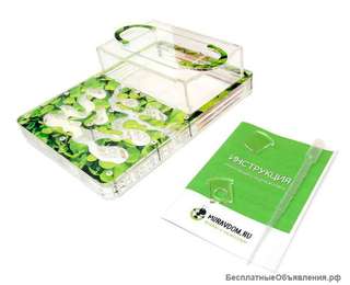 Муравьиная ферма (формикарий) + муравьи