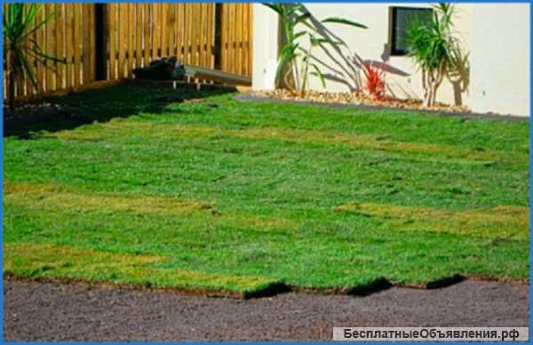 Укладка и посев газона