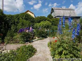 Дачу в деревне Пирогово Серпуховский район