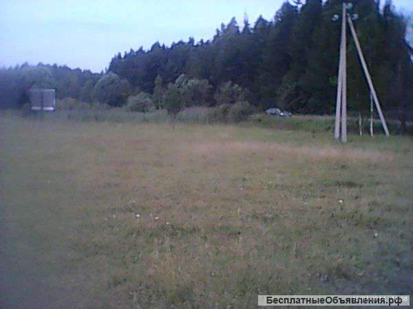 В Солнечногорском районе последний свободный участок