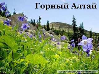 Активные туры по Алтаю