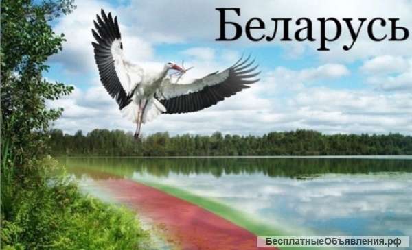 Тур в Беларусь с ночлегом в замке Мир 2 дня