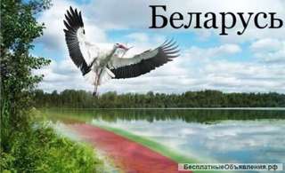 Тур в Беларусь с ночлегом в замке Мир 2 дня