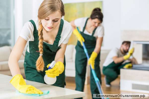 Помощь по хозяйству, уборка в квартире