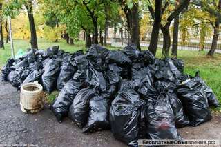 Вывоз любого мусора, недорого