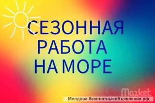 Вакансия: реализатор экскурсионных билетов
