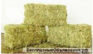 Сено в тюках, разнотравье. Оптом