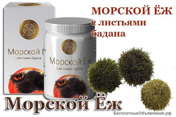 Морской ёж купить с доставкой