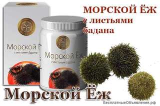 Морской ёж купить с доставкой