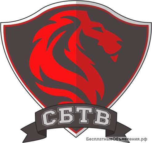 Системы безопасности ТВ весь комплекс противопожарных услуг и услуг безопасности