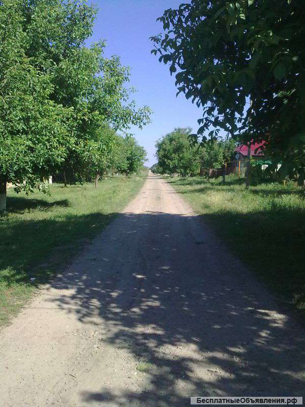 Дом со всеми удобствами, рядом выпас, недалеко остановка, автобус каждые полчаса