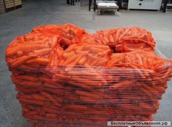 Морковь ранняя оптом от производителя
