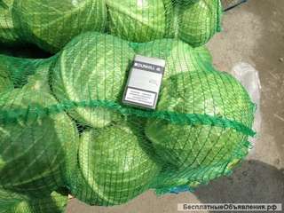 Капуста белокочанная от фермера