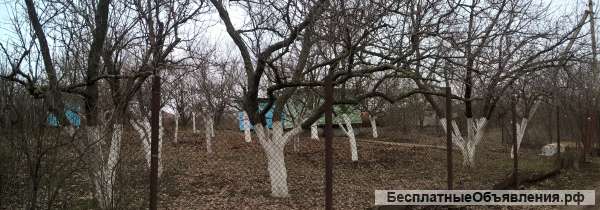 Участок 5 соток