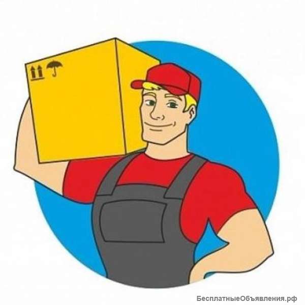 Укладчик-упаковщик