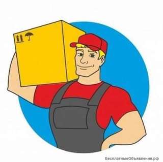 Укладчик-упаковщик