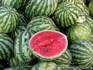 Арбузы оптом