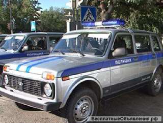 Полицейский, полицейский водитель, полицейский кинолог, полицейский кавалерист