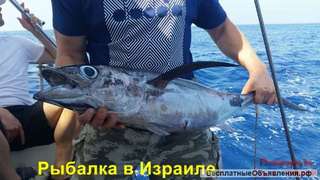 Рыбалка в Израиле