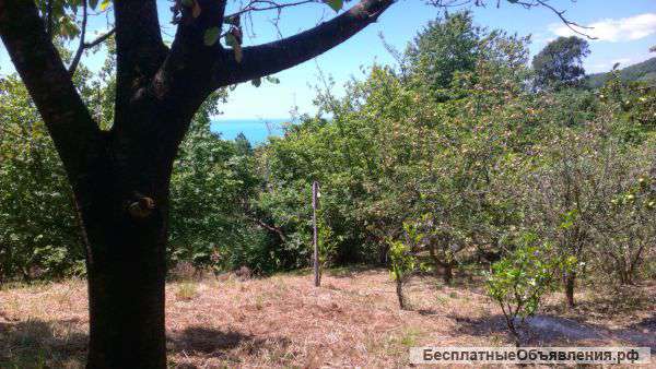 Земельный участок