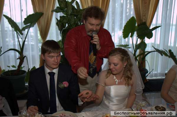 Ведущий певец ди-джей на праздник