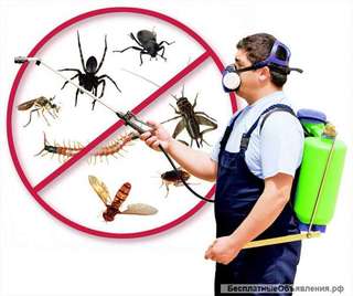 Уничтожение тараканов, муравьёв, клопов, блох