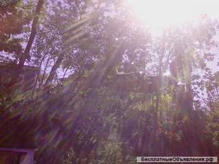 Яровое Сдам квартиру