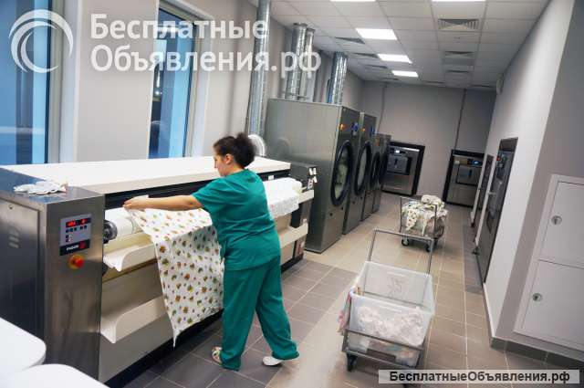 Гладильщица