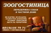 Передержка собак в частном доме