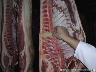 Свинину и говядину 1-ой категории оптом в п/тушах от фермерских хозяйств