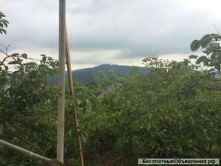 Дом 80м2 Сочи Краснодарский край(Хоста)