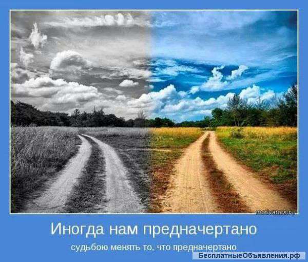 Услуги коуча