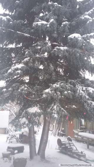 Дом с участком