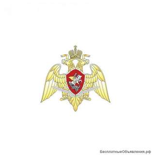 Работа в полиции