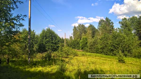 Чудесный земельный участок 2 Га. в лесу под строительство