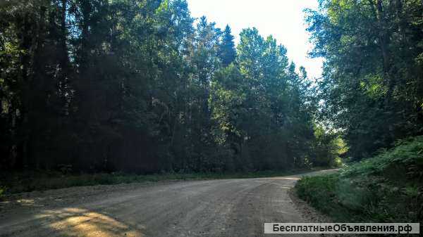 Чудесный земельный участок 2 Га. в лесу под строительство