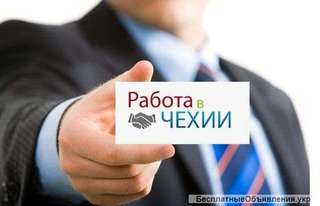 Официальное трудоустройство в Чехии