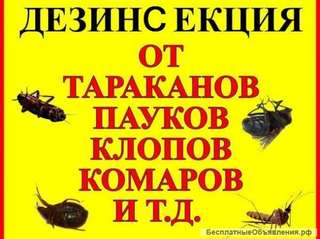 Уничтожаем тараканов. крыс, мышей. муравьев