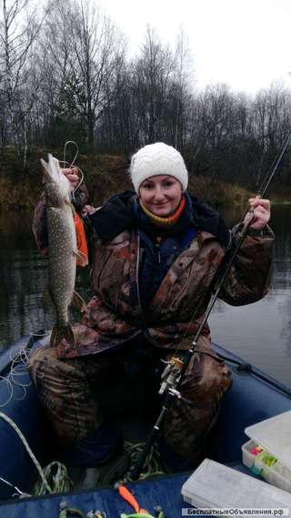 Бухгалтер ИП или ООО на дому