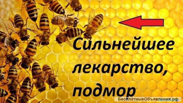 Пчелинный подмор.Прополис Настоянный т. 8 902 755 3423 Кемерово