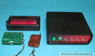 Электронные весы с пультом коррекции показания веса в тч. автомобильных весов.