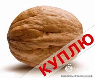 Покупаю грецкие орехи
