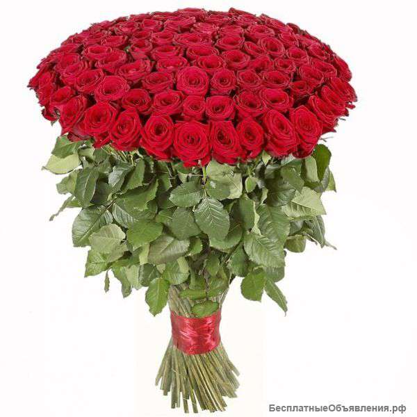 Букет роз с БЕСПЛАТНОЙ доставкой: 25, 51, 101 и 201 роза