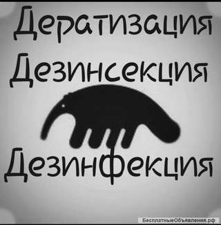 Обработка от грызунов, насекомых, плесени