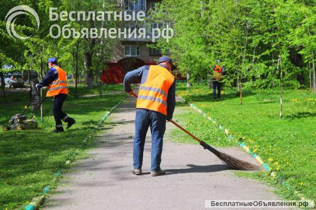 Дворник в порт