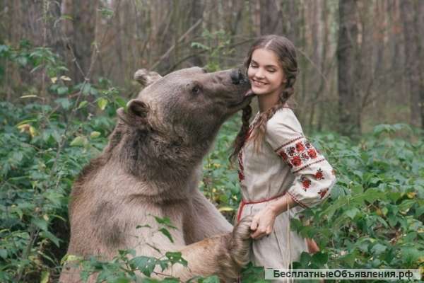 Фотосессия с милым и добрым мишкой